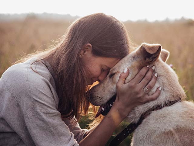 woman and dogs head touching in companionship